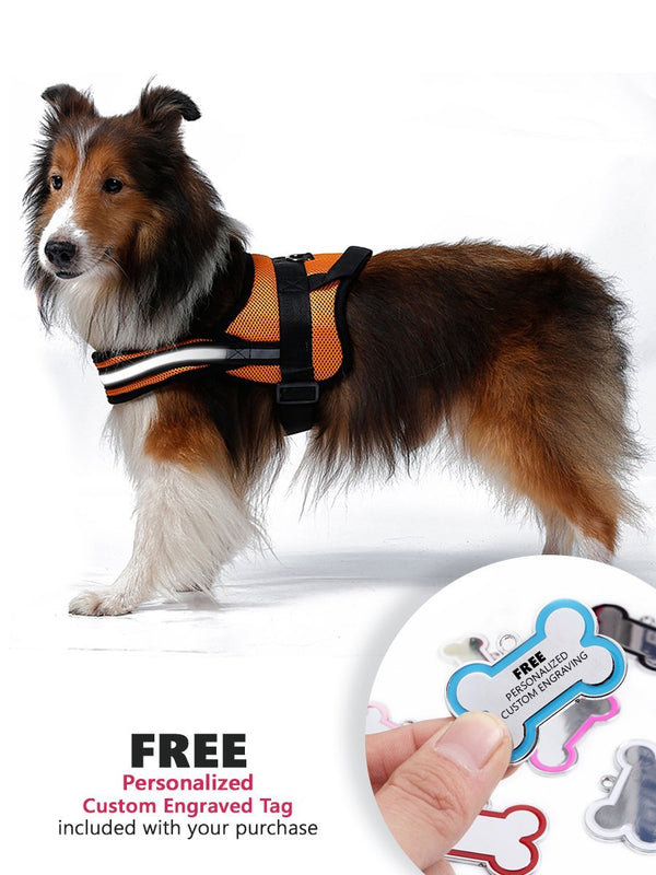Fash Official Pet Supplies Medium Orange Mesh Pet Harness ~ Personalized Engraved Tag Included