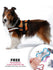 Fash Official Pet Supplies Medium Orange Mesh Pet Harness ~ Personalized Engraved Tag Included
