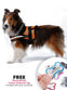 Orange Mesh Pet Harness ~ Personalized Engraved Tag Included