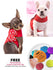 Fash Official Pet Supplies Small Blooming Red Flower Pet Harness - Personalized Engraved Tag Included