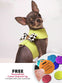 Neon Green with a Big Polka Dot Bow Pet Harness - Personalized Engraved Tag Included