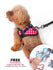 Fash Official Pet Supplies Small Pink with White Polka Dots Reflective Oxford Pet Harness ~ Personalized Engraved Tag Included